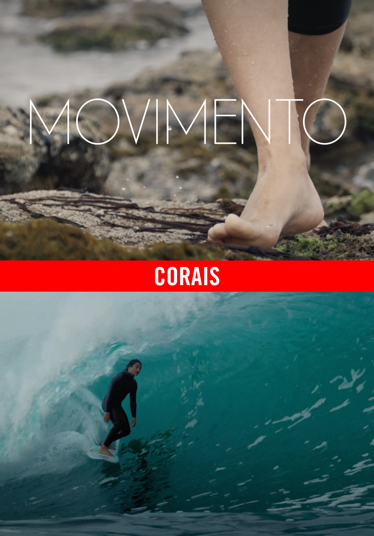 Movimento - Corais