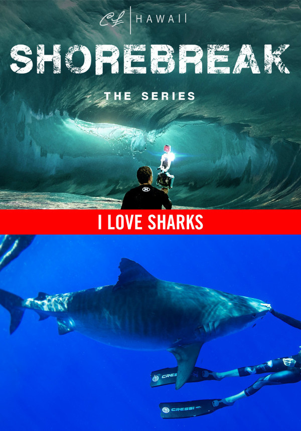 Shorebreak: The Series - I Love Sharks