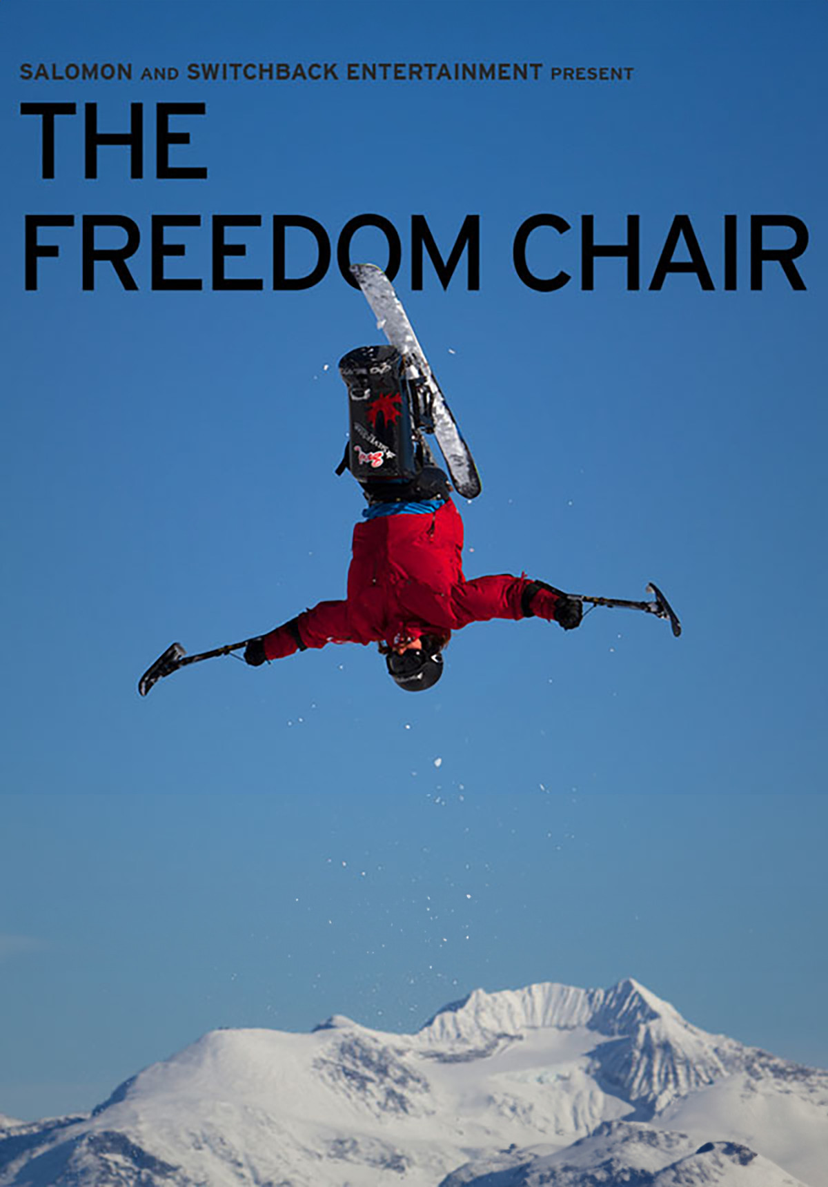 The Freedom Chair 